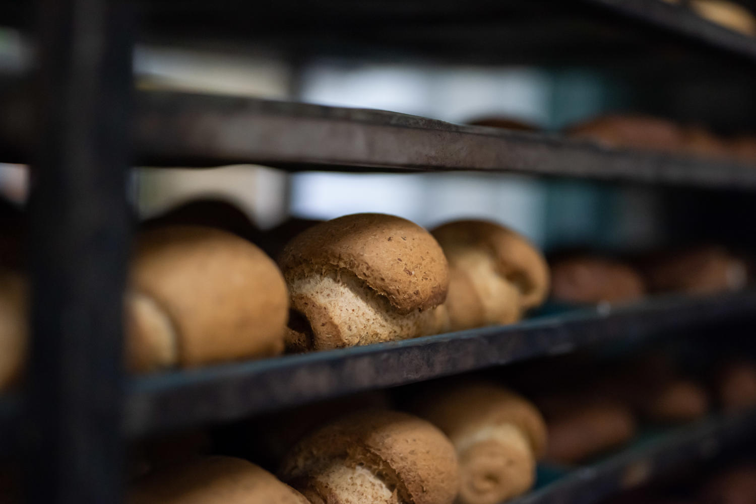 pane-artiginale-piacenza-devoti