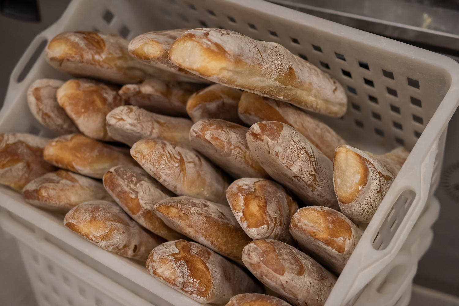 pane-per-negozi-piacenza